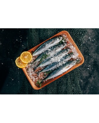 Rasnita pentru sare, 22 cm, lemn, colectia Roma - CILIO